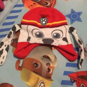 Paw patrol hat